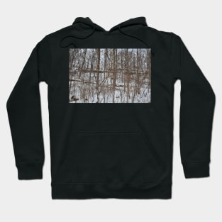 Escarpment snow fall Hoodie